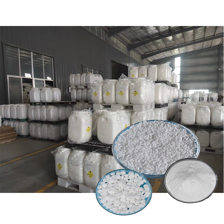Granular Chlorin SDIC 56% Chlorine Powder for Water Treatment Chemicals
